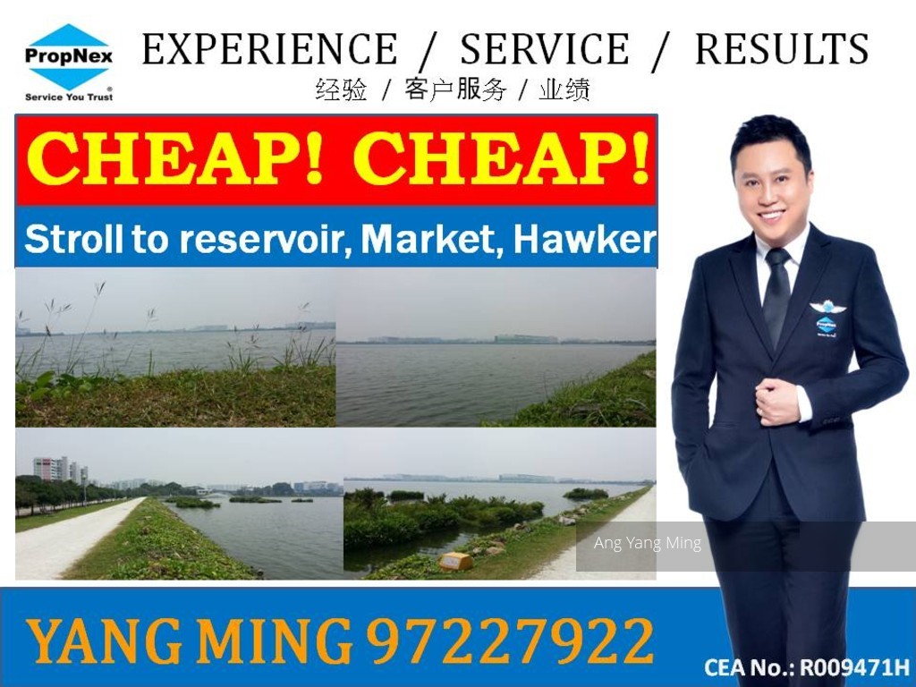 Blk 403 Pandan Gardens (Jurong East), HDB 5 Rooms #106976452